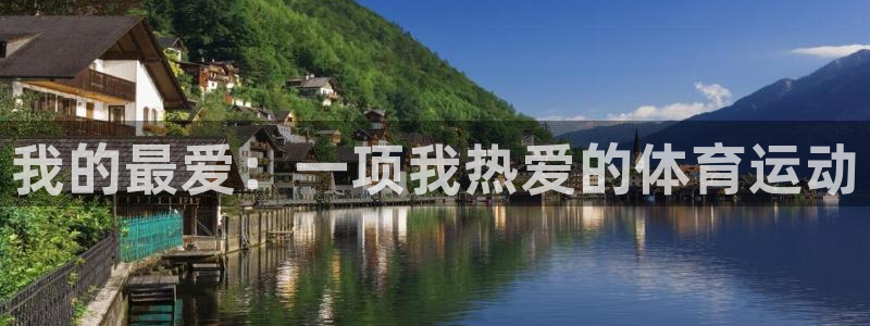 米兰体育官方正版app娱乐：我的最爱：一项我热爱的体
