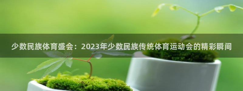 海南米兰体育官网下载：少数民族体育盛会：2023年少