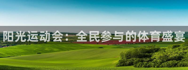 米兰体育官方正版app集团：阳光运动会：全民参与的体育盛宴