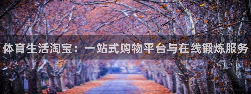 米兰体育官方正版app官网：体育生活淘宝：一站式购物