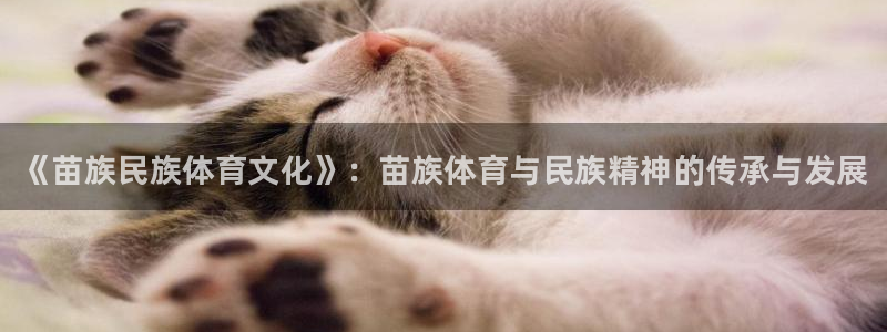 米兰体育官方正版app娱乐是那个系列的台子：《苗族民族体育文