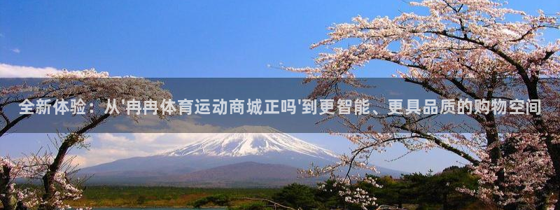 米兰体育官方正版app娱乐40996：全新体验：从\