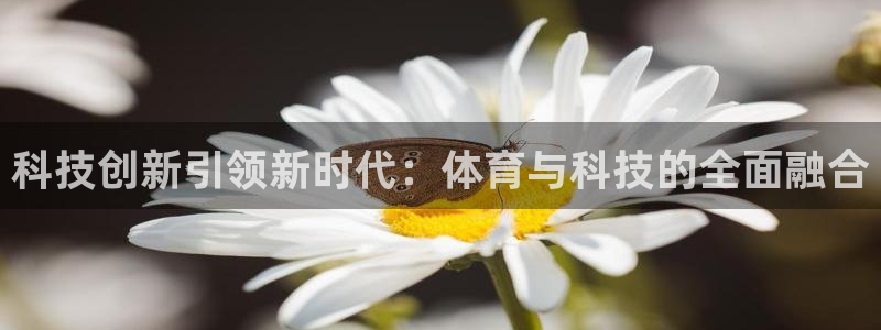 米兰体育官网下载：科技创新引领新时代：体育与科技的全
