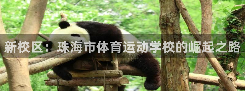 米兰体育官网下载招商电话号码是多少号：新校区：珠海市体育运动