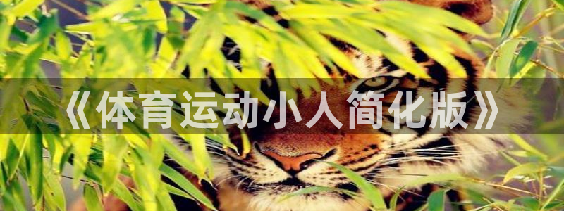 米兰体育官网下载平台注册要钱吗：《体育运动小人简化版