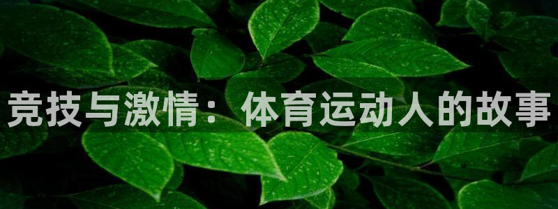 米兰体育官网下载招商：竞技与激情：体育运动人的故事