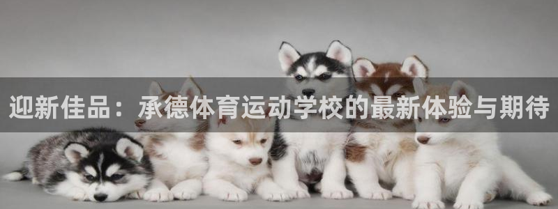 米兰体育官网下载是干嘛的公司：迎新佳品：承德体育运动学校的最