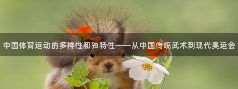 米兰体育官网下载招商电话号码是多少啊：中国体育运动的多样性和