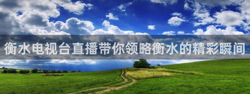 河豚nba直播比赛：衡水电视台直播带你领略衡水的精彩瞬间