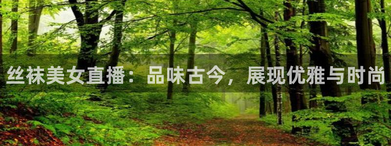 河豚体育在线直播：丝袜美女直播：品味古今，展现优雅与时尚