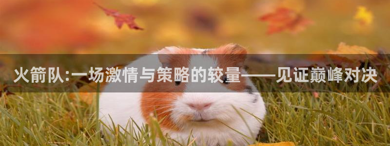 河豚体育直播免费下载：火箭队:一场激情与策略的较量——见证巅峰对决