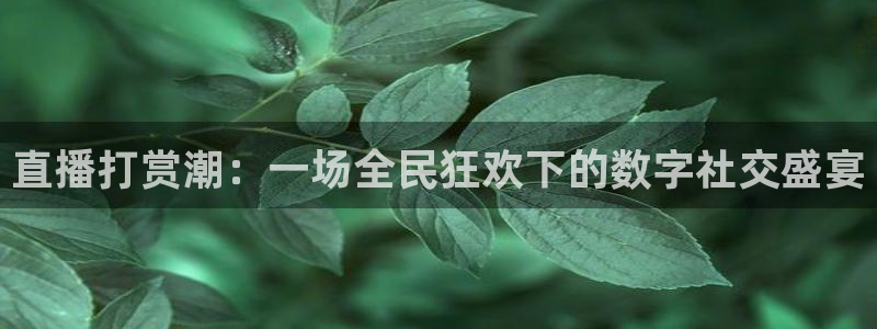 河豚体育直播看球app：直播打赏潮：一场全民狂欢下的数字社交盛宴