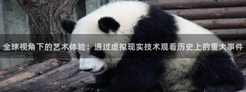 河豚体育赛事直播：全球视角下的艺术体验：通过虚拟现实技术观看历史上的重大事件