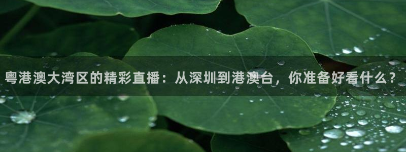 河豚直播体育app下载：粤港澳大湾区的精彩直播：从深圳到港澳台，你准备好看什么？