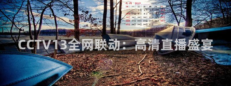 河豚体育直播app：CCTV13全网联动：高清直播盛宴