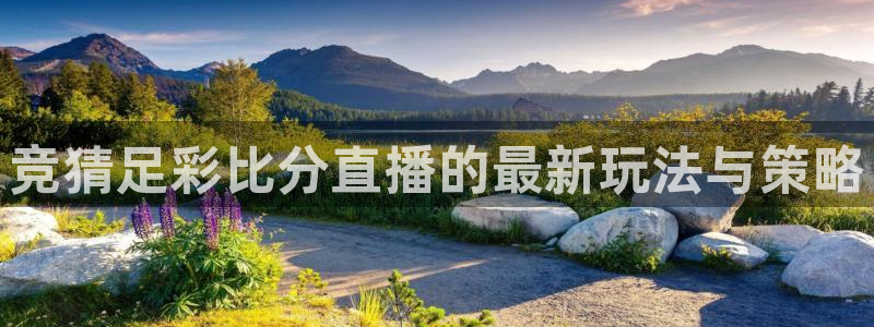 河豚体育足球直播：竞猜足彩比分直播的最新玩法与策略