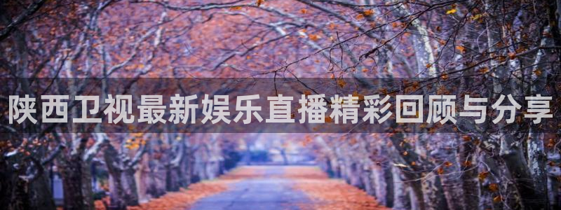 河豚面：陕西卫视最新娱乐直播精彩回顾与分享